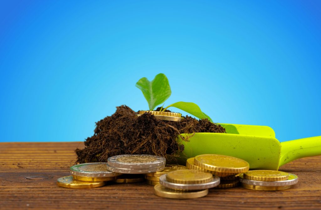 Coins stack of money and growing plant, financial concept