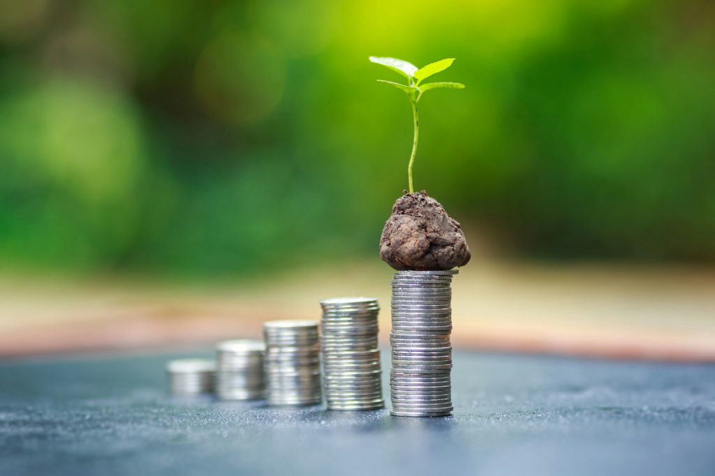 Saving money for wealth and growth of business income for rich invest plan concept.